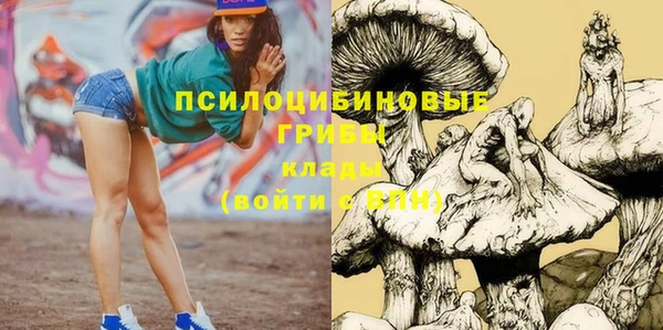 шишки Краснотурьинск