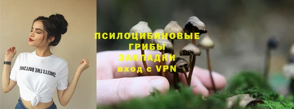 шишки Краснотурьинск