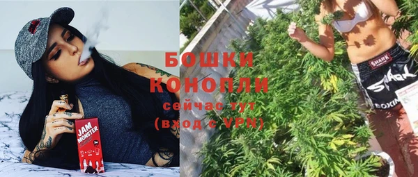 шишки Краснотурьинск