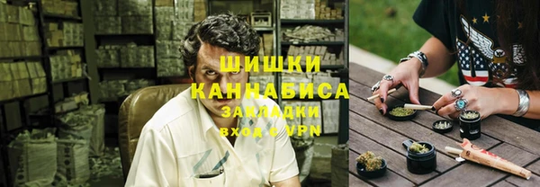 шишки Краснотурьинск