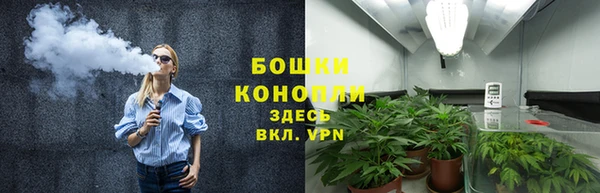 шишки Краснотурьинск